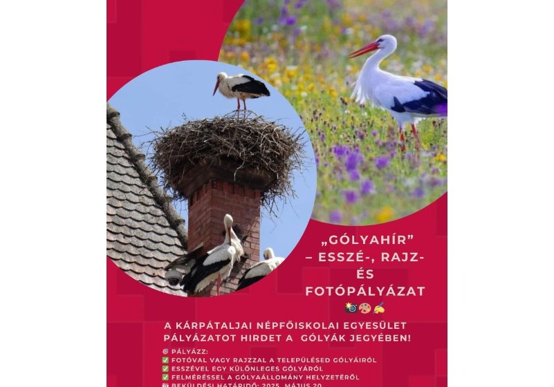 „Gólyahír” esszé-, rajz- és fotópályázat