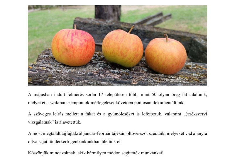 Véget értek a térség gyümölcsészeti feltárás terepi munkálatai
