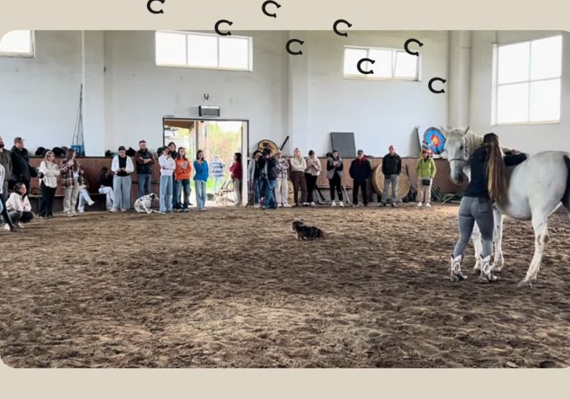 Pótápi Árpád János Lovas kollégium