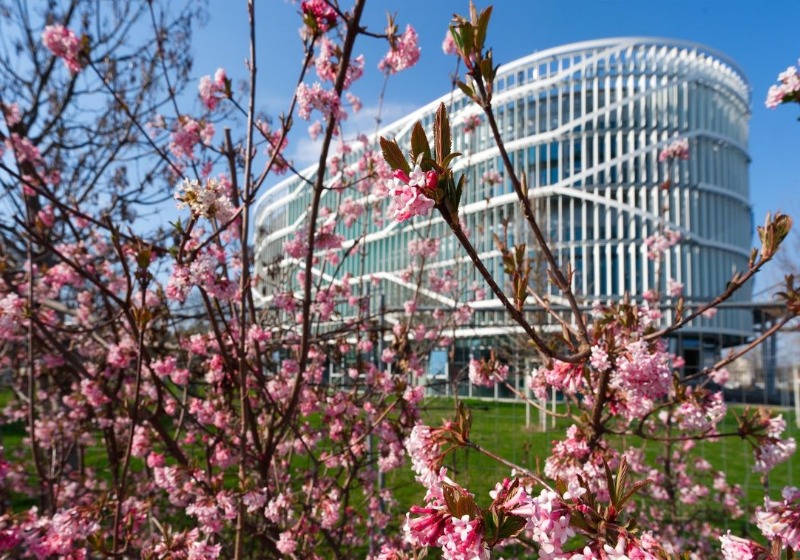 A Neumann János Egyetem töretlenül építkezik tovább!