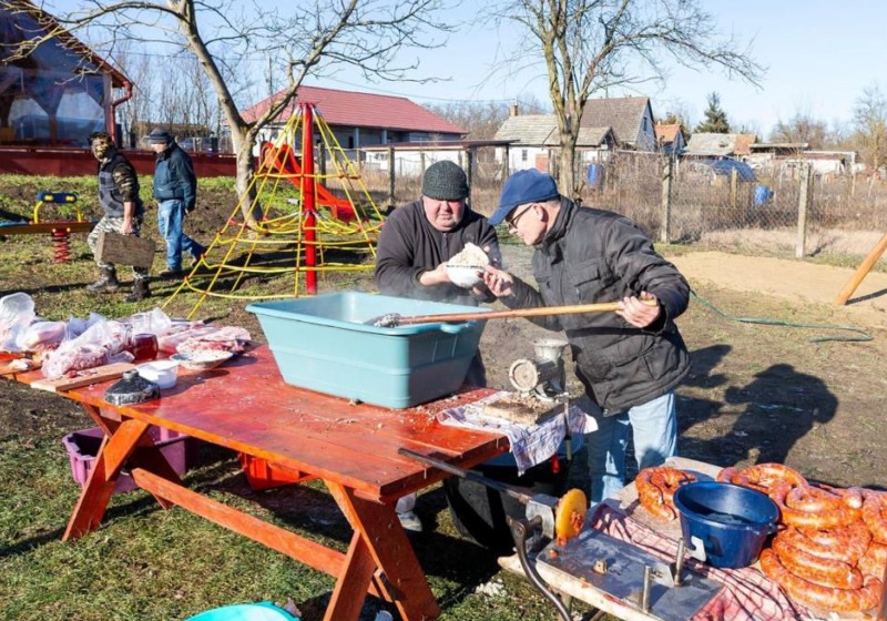 Disznóvágás Felsősóskúton