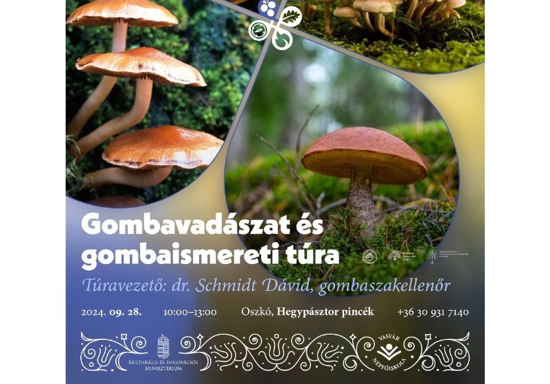 Gombaismereti túra - gombavadászat