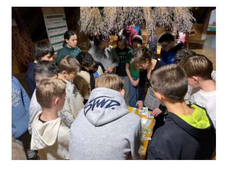 Gyógynövények a természetben – használatuk a mindennapokban