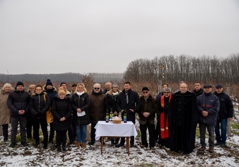 Vince-napi szőlőszentelés a Népfőiskola melletti szőlőkben