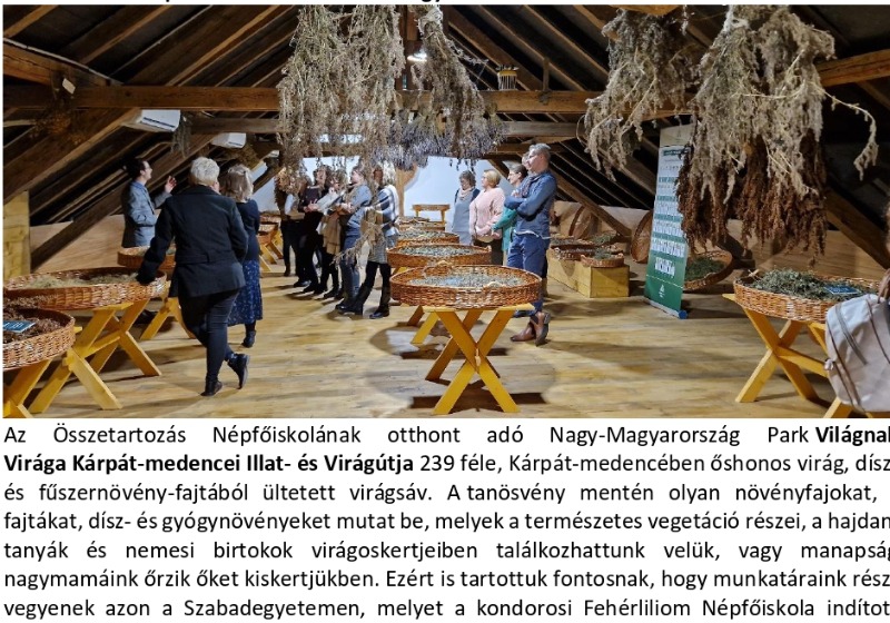 Gyógynövények bűvöletében a Jófüvek Szabadegyetemen
