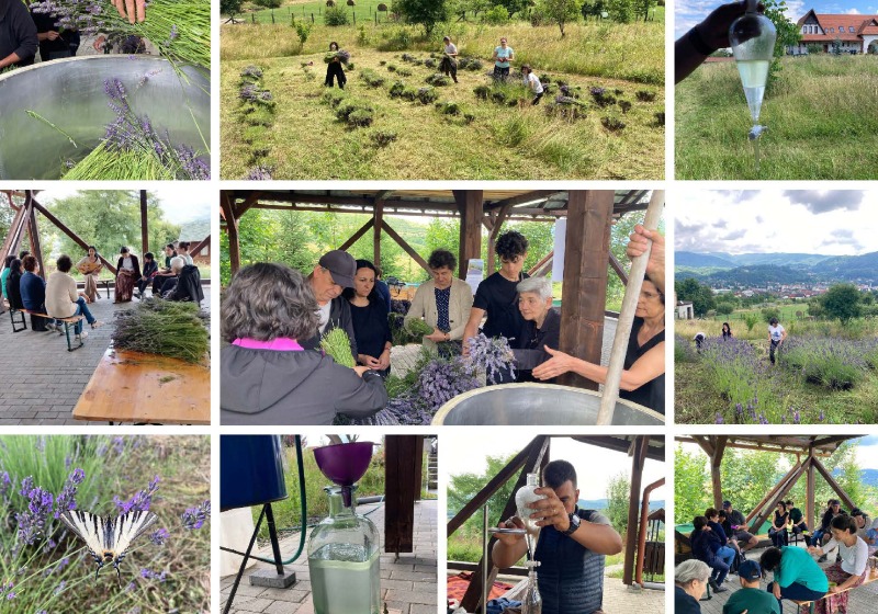 Illat, nyugalom, levendula!