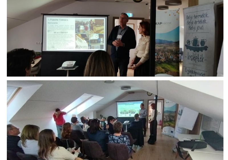Helyi értékek új szemmel – Terroir tapasztalatok és lehetőségek