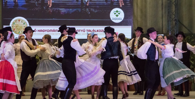 Kösöntyű 2024,02,04,-0008