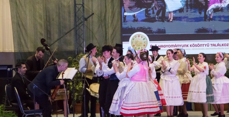 Kösöntyű 2024,02,04,-0051