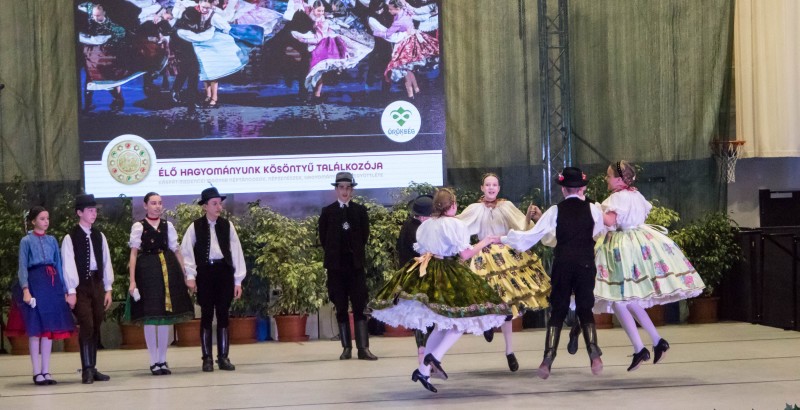 Kösöntyű 2024,02,04,-0058