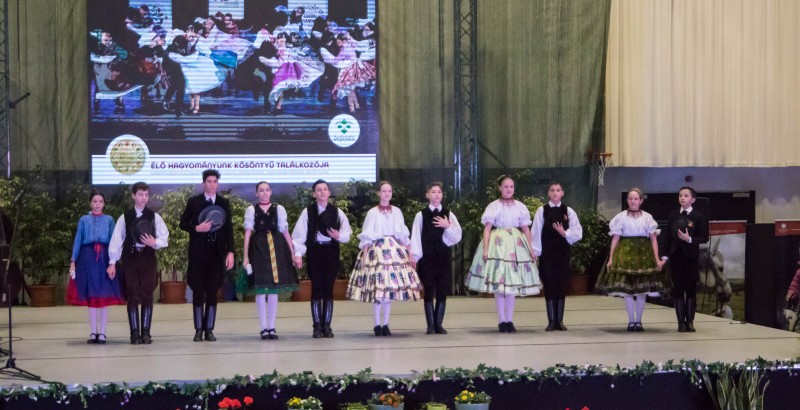 Kösöntyű 2024,02,04,-0086