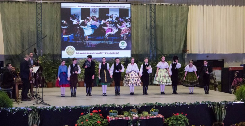 Kösöntyű 2024,02,04,-0089