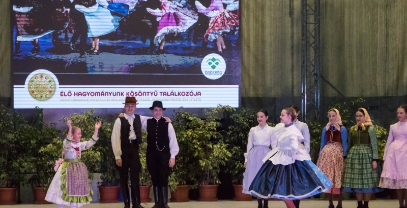 Kösöntyű 2024,02,04,-0092