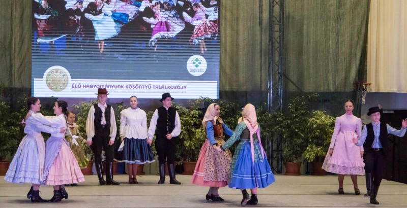 Kösöntyű 2024,02,04,-0104