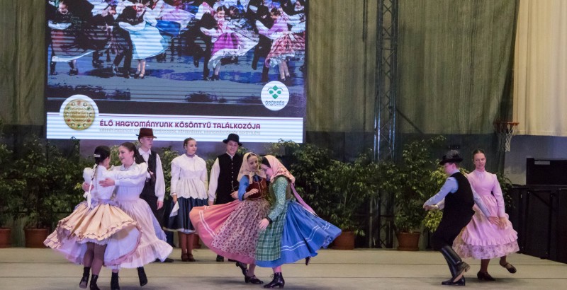 Kösöntyű 2024,02,04,-0108