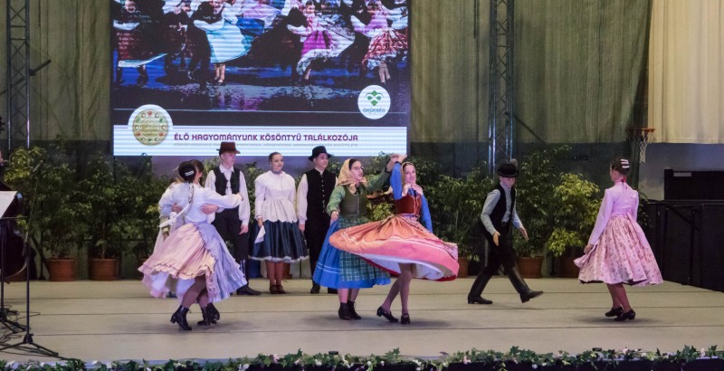 Kösöntyű 2024,02,04,-0112