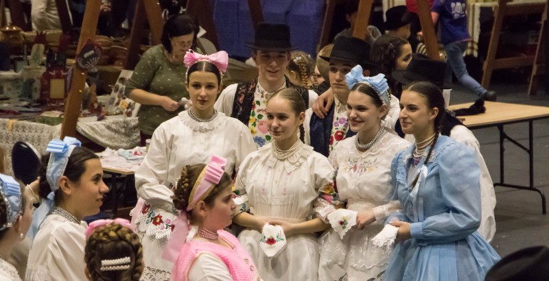 Kösöntyű 2024,02,04,-0132