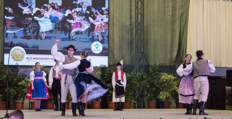 Kösöntyű 2024,02,04,-0136