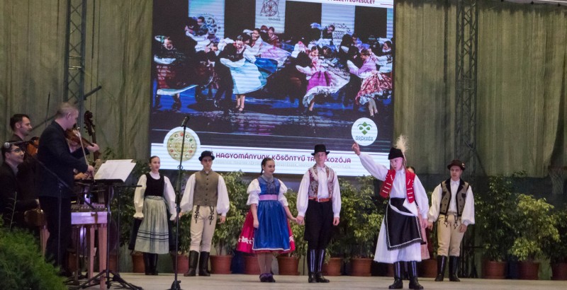 Kösöntyű 2024,02,04,-0145