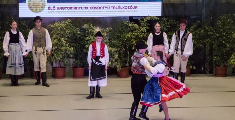 Kösöntyű 2024,02,04,-0164