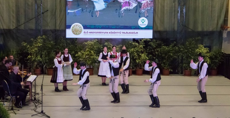 Kösöntyű 2024,02,04,-0170