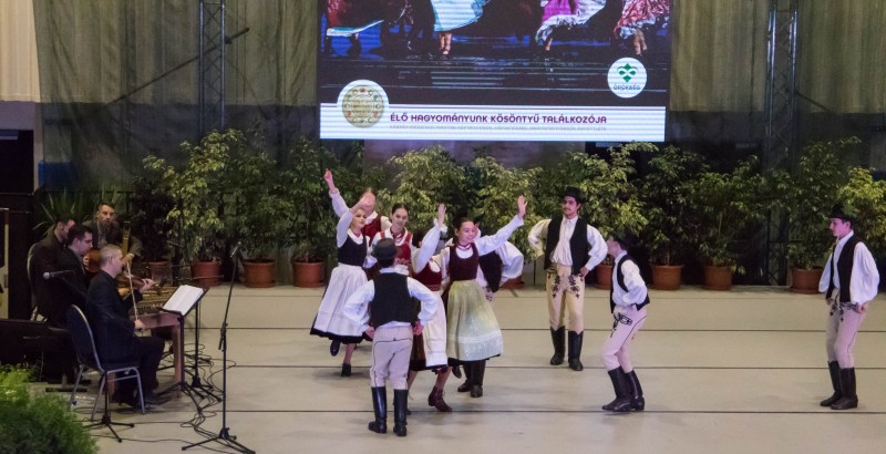 Kösöntyű 2024,02,04,-0176