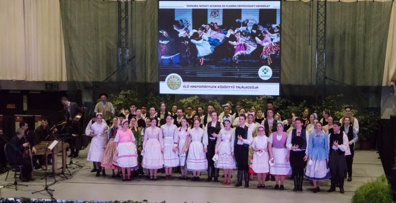 Kösöntyű 2024,02,04,-0199