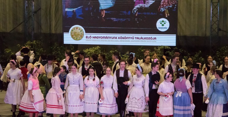 Kösöntyű 2024,02,04,-0202