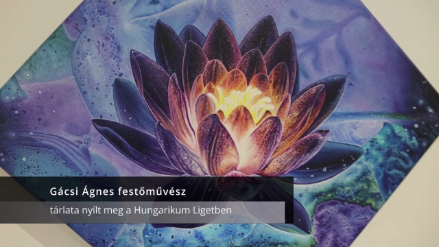 2025.08.14. Gácsi Ágnes kiállítása